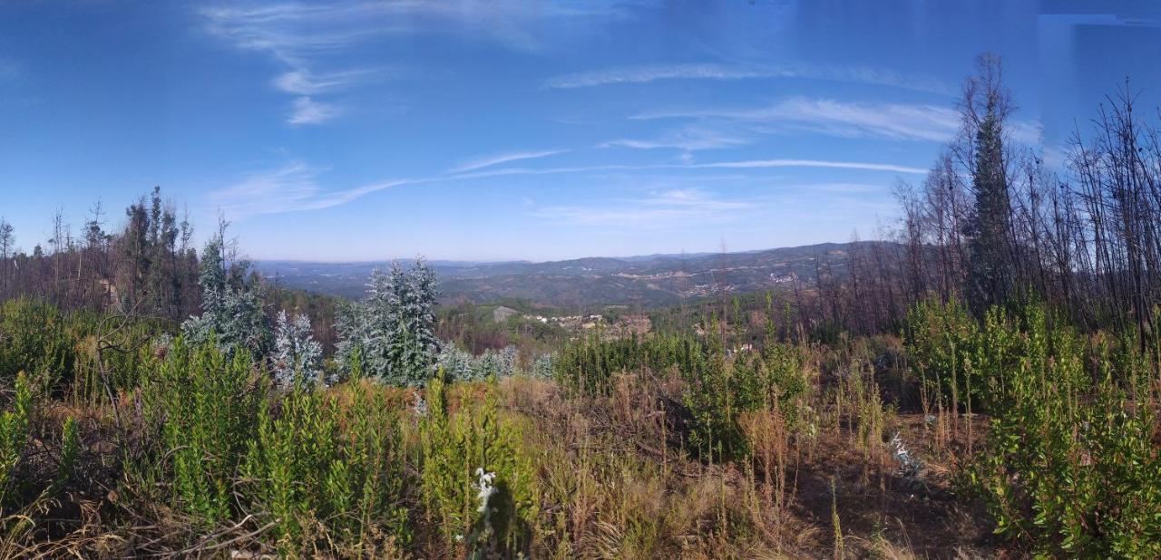 Figueiredo  Casa Wiandeha Bed & Breakfast エクステリア 写真