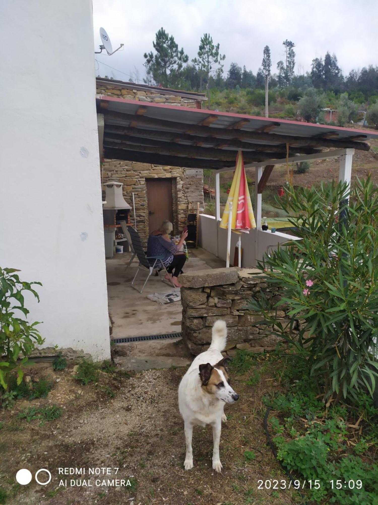 Figueiredo  Casa Wiandeha Bed & Breakfast エクステリア 写真